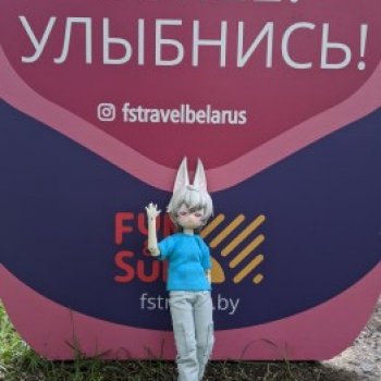 Лето, полное зайцев :-)