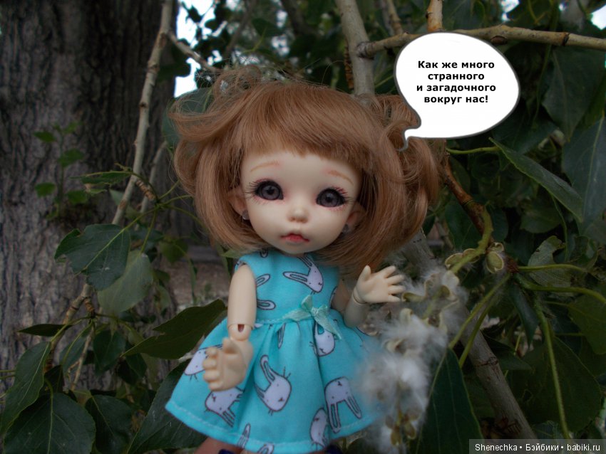 Знакомство — Куклы Fairyland (ФэйриЛэнд): BJD (БЖД) (фото 5)