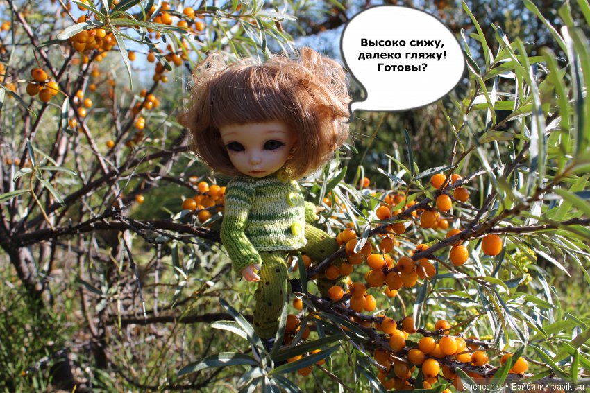 План-2 — Куклы Fairyland (ФэйриЛэнд): BJD (БЖД)