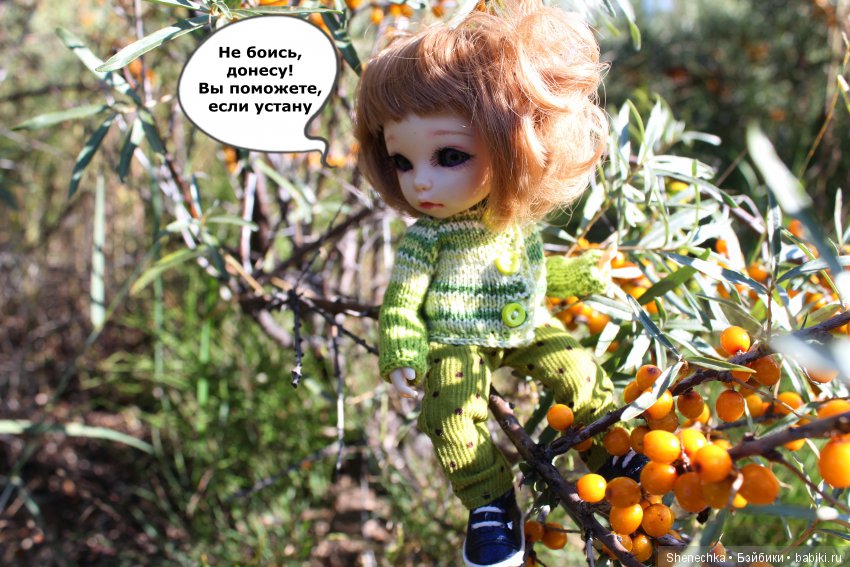 План-2 — Куклы Fairyland (ФэйриЛэнд): BJD (БЖД)