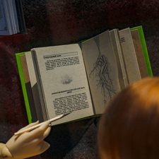 Пикник на даче