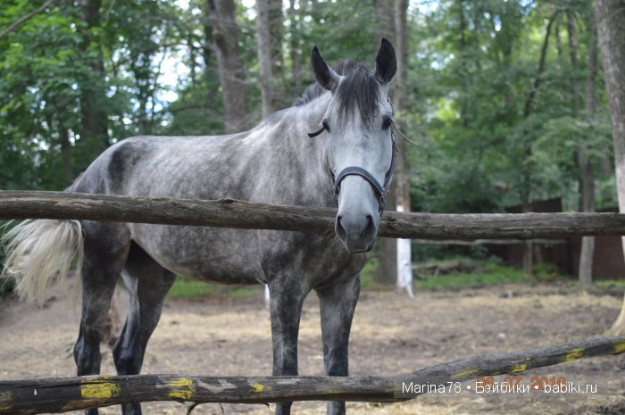 Ожившая история, или прогулка по городскому парку