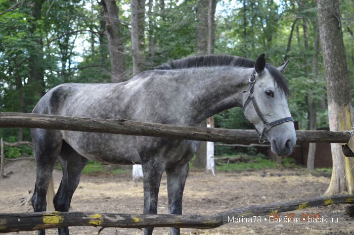 Ожившая история, или прогулка по городскому парку