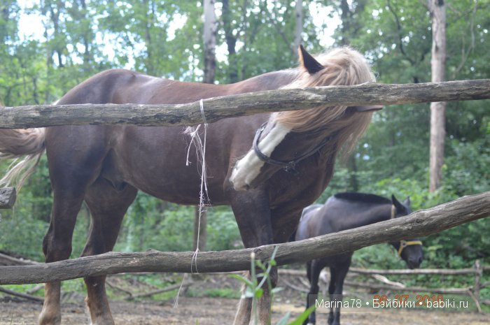 Ожившая история, или прогулка по городскому парку