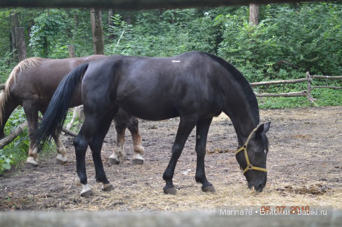 Ожившая история, или прогулка по городскому парку