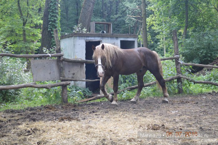 Ожившая история, или прогулка по городскому парку