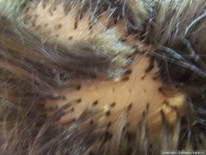 Печальная история покупки (фото 8)