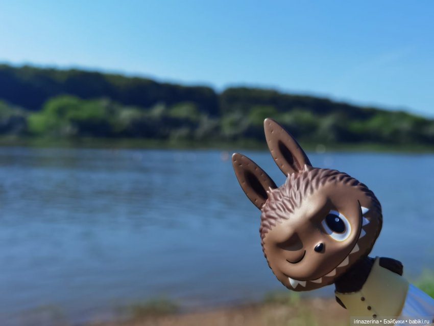 Labubu — Игрушки Labubu (Лабубу) и The Monsters: Pop Mart (фото 7)