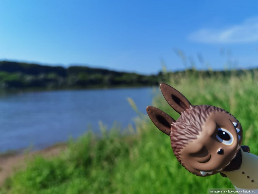 Labubu — Игрушки Labubu (Лабубу) и The Monsters: Pop Mart (фото 8)