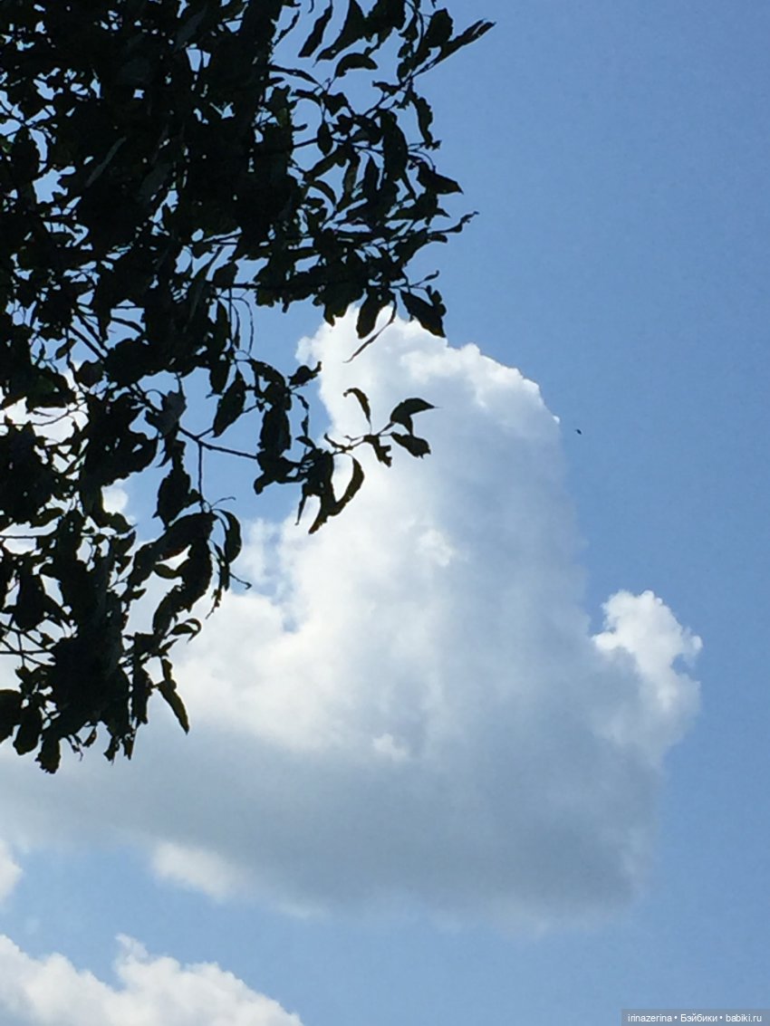 Без кукол-никуда — Игрушки Labubu (Лабубу) и The Monsters: Pop Mart (фото 9)