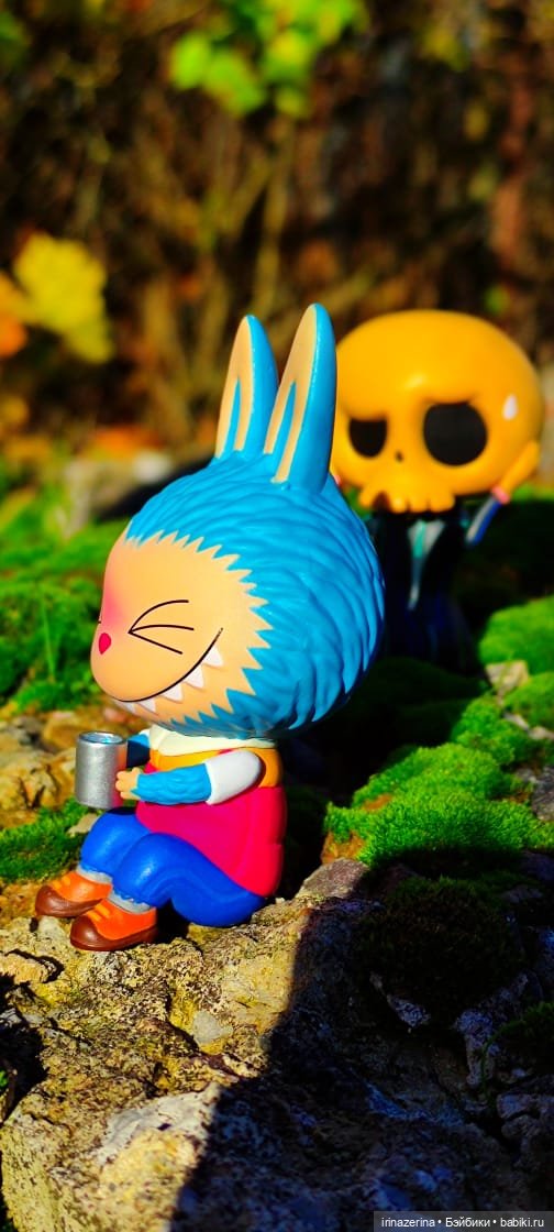 Пикник с подружкой Labubu