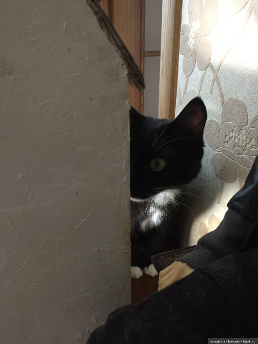 Тема окна не раскрыта — Домашние фото авторских кукол: личные коллекции (фото 5)