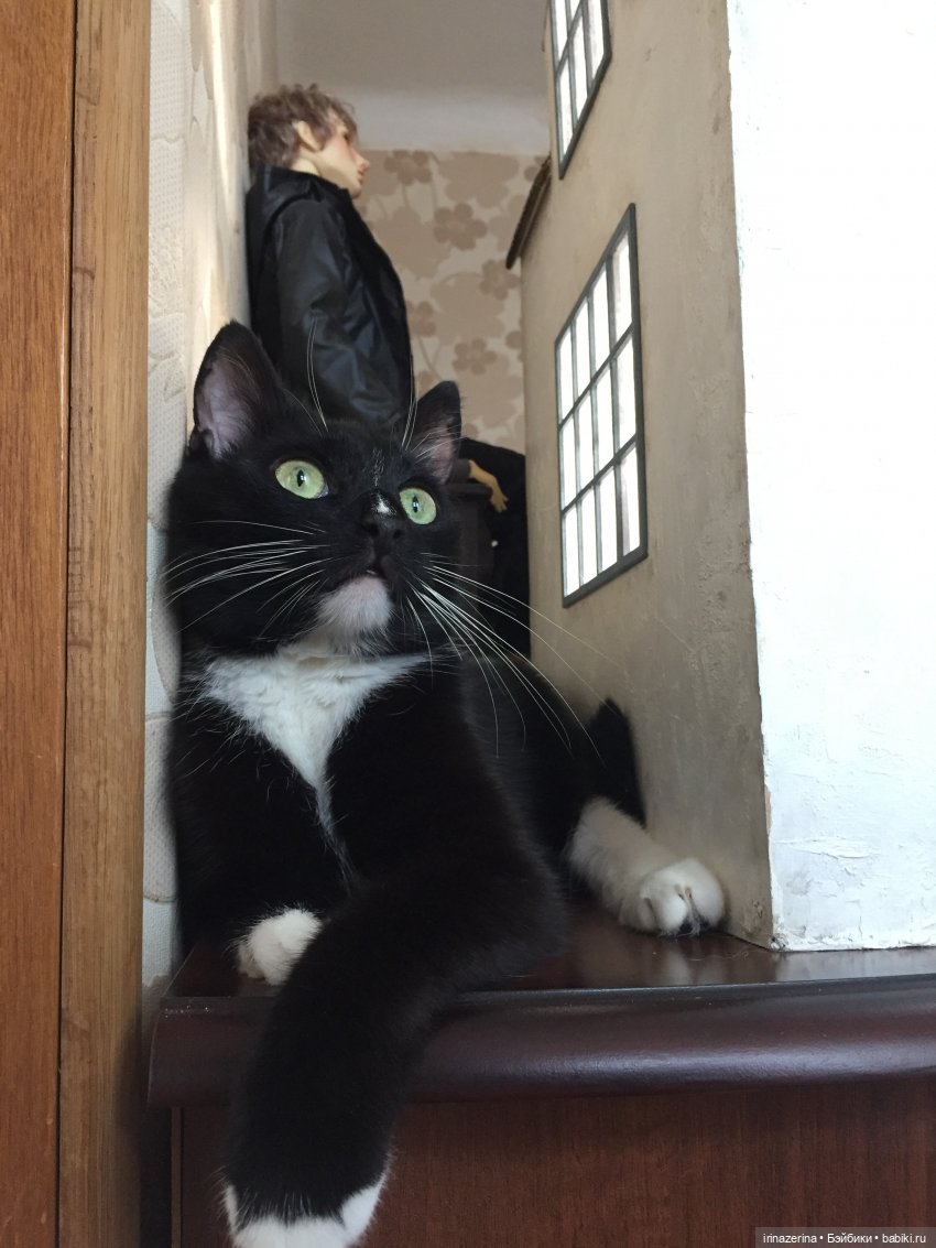 Тема окна не раскрыта — Домашние фото авторских кукол: личные коллекции (фото 6)