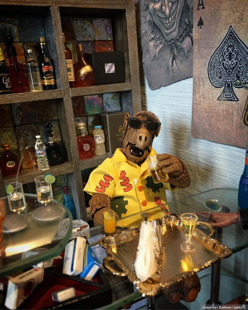 Пушистый бармен "гадкого Альфа" (фото 4)