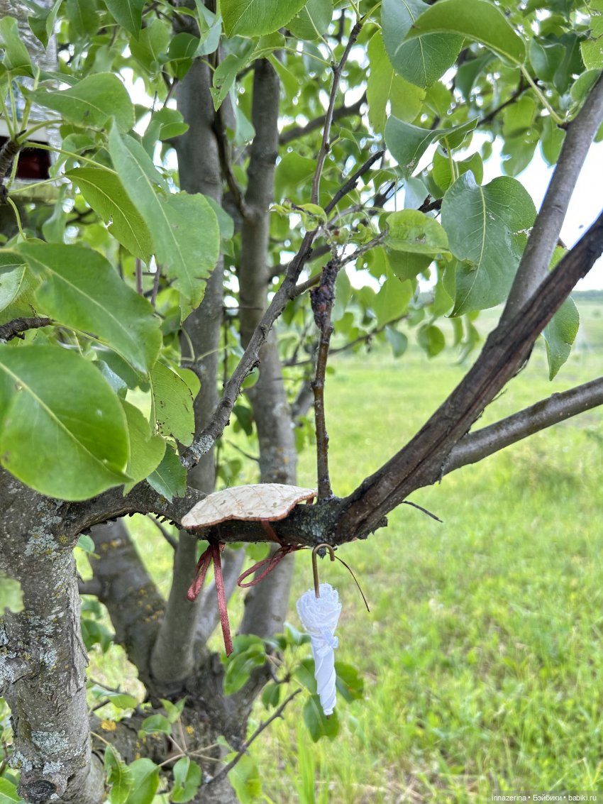Хочешь -не хочешь,днем или ночью Чудо прийдет | Бэйбики Хочешь -не хочешь,днем или ночью Чудо прийдет (фото 9)