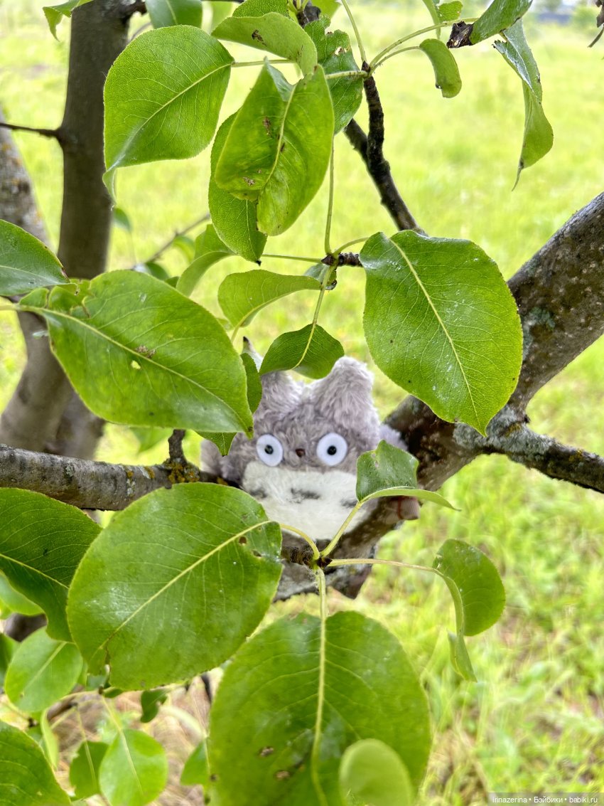 Хочешь -не хочешь,днем или ночью Чудо прийдет | Бэйбики Хочешь -не хочешь,днем или ночью Чудо прийдет (фото 5)