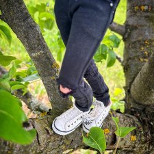 Опасное лето Ноа Лиама