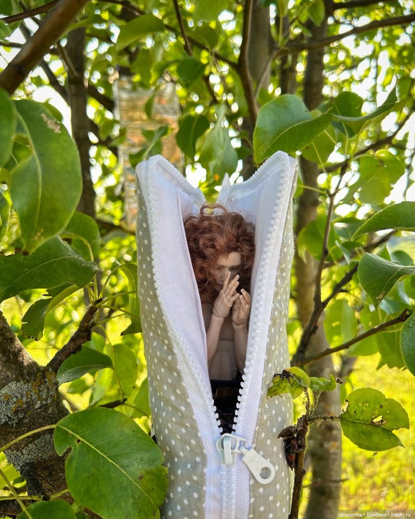 Из куколки в бабочку или дневной вампир (фото 3)