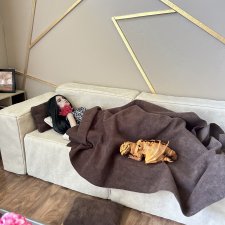 Mysterious folklore 8