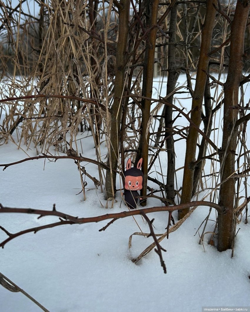 Знакомство в лесу — Фотоистории с куклами BJD (БЖД): сериалы (фото 7)