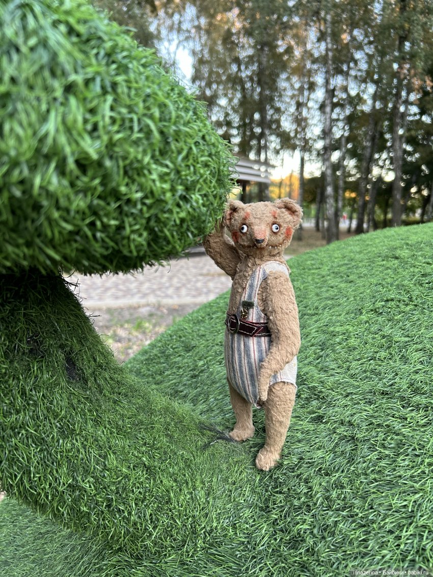 Первая прогулка компаньона Миши