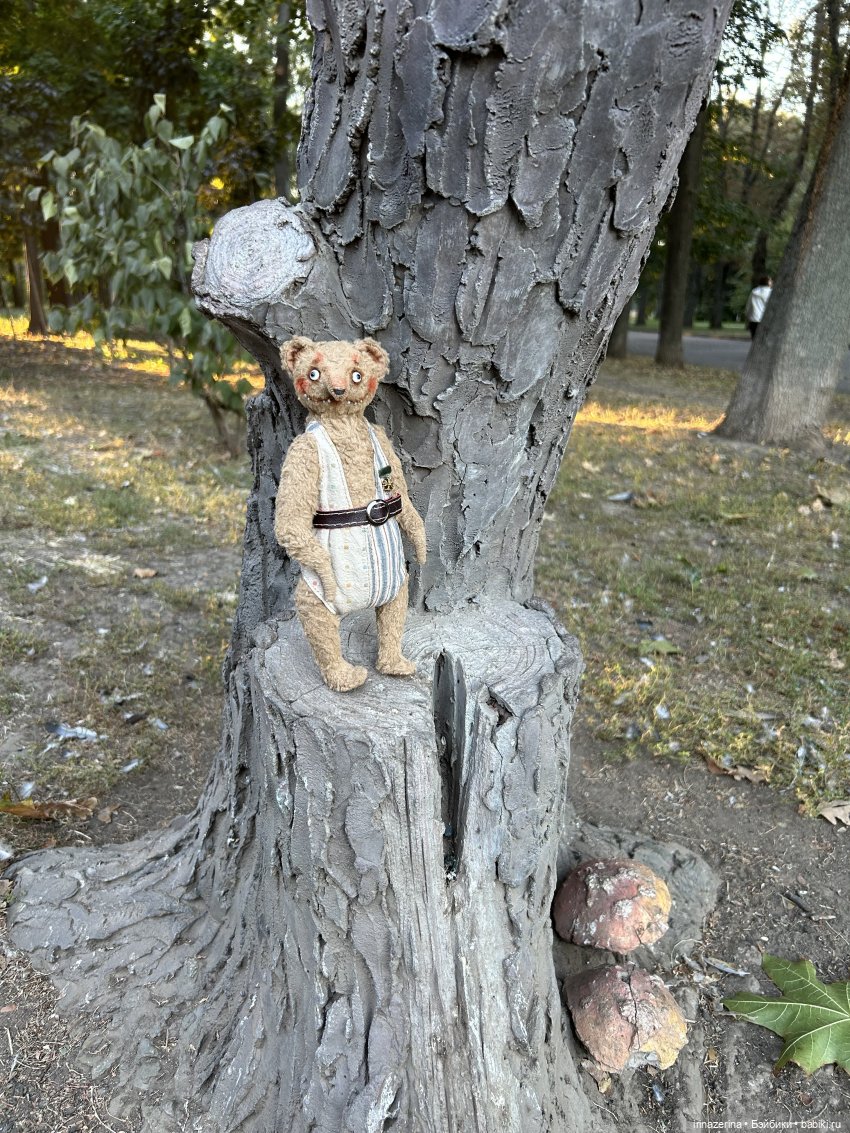 Первая прогулка компаньона Миши (фото 9)