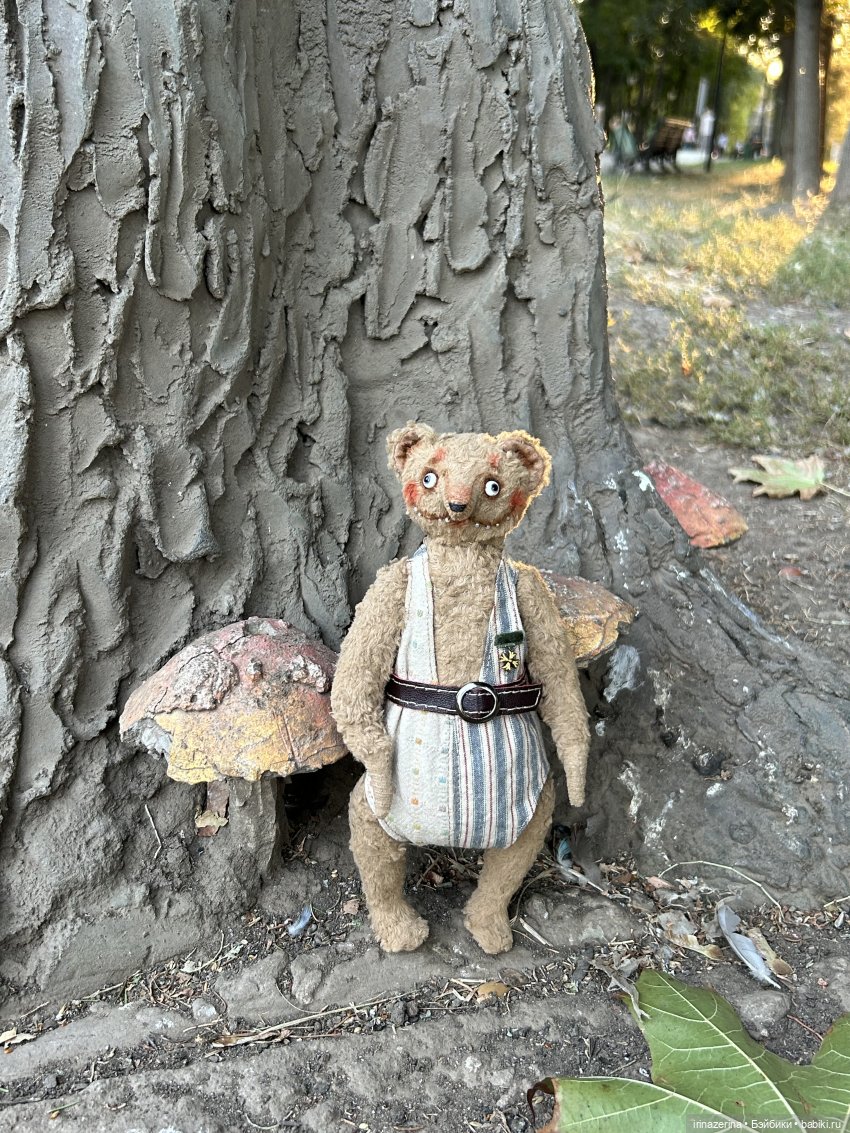 Первая прогулка компаньона Миши (фото 10)