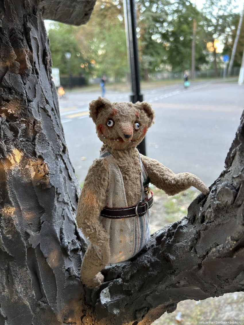 Первая прогулка компаньона Миши (фото 8)