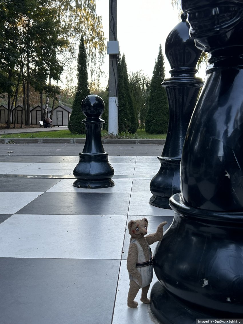 Первая прогулка компаньона Миши (фото 6)