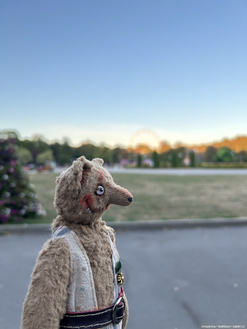 Первая прогулка компаньона Миши