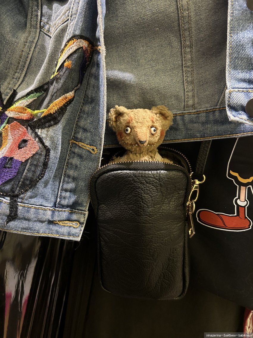 Первая прогулка компаньона Миши (фото 2)