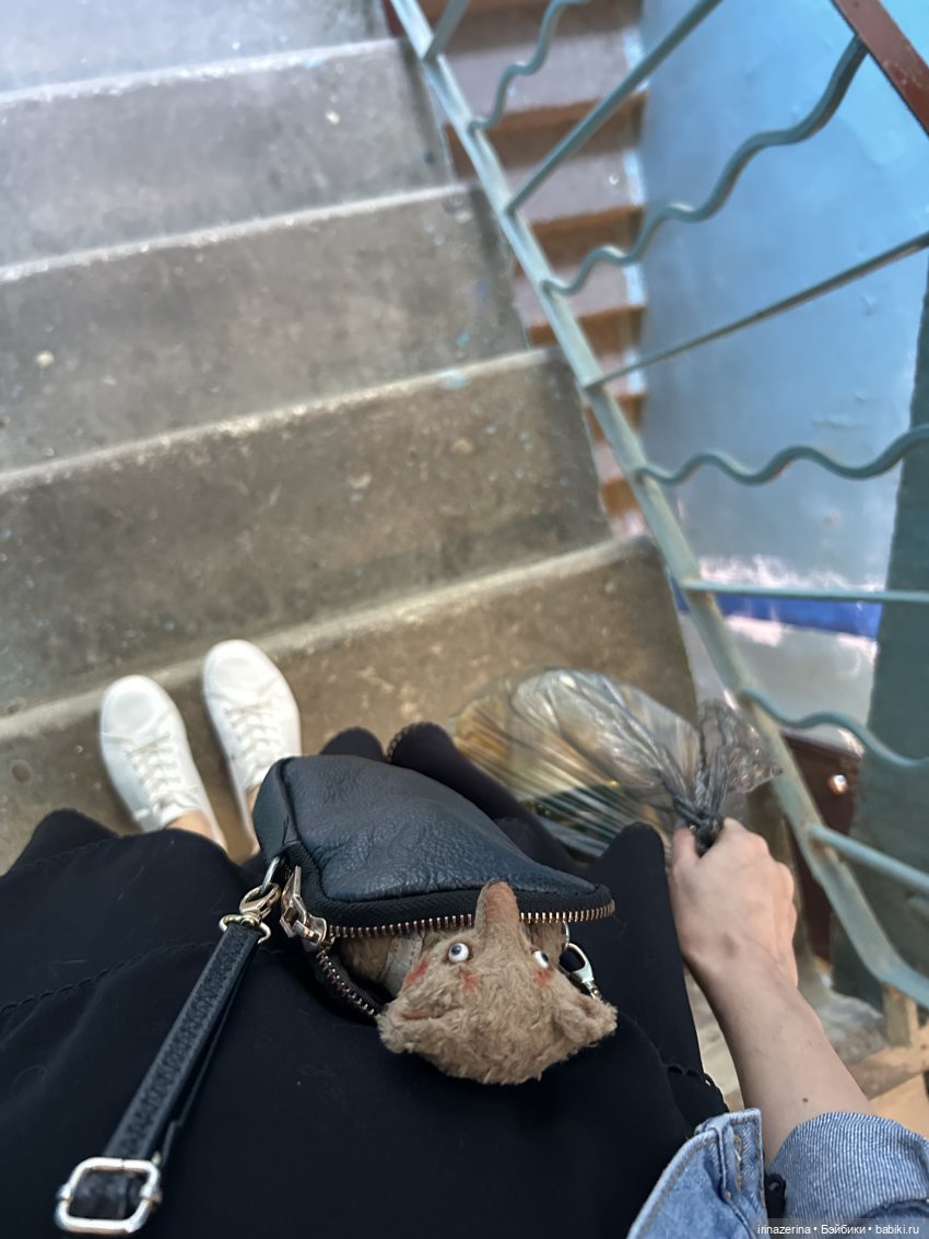 Первая прогулка компаньона Миши (фото 3)