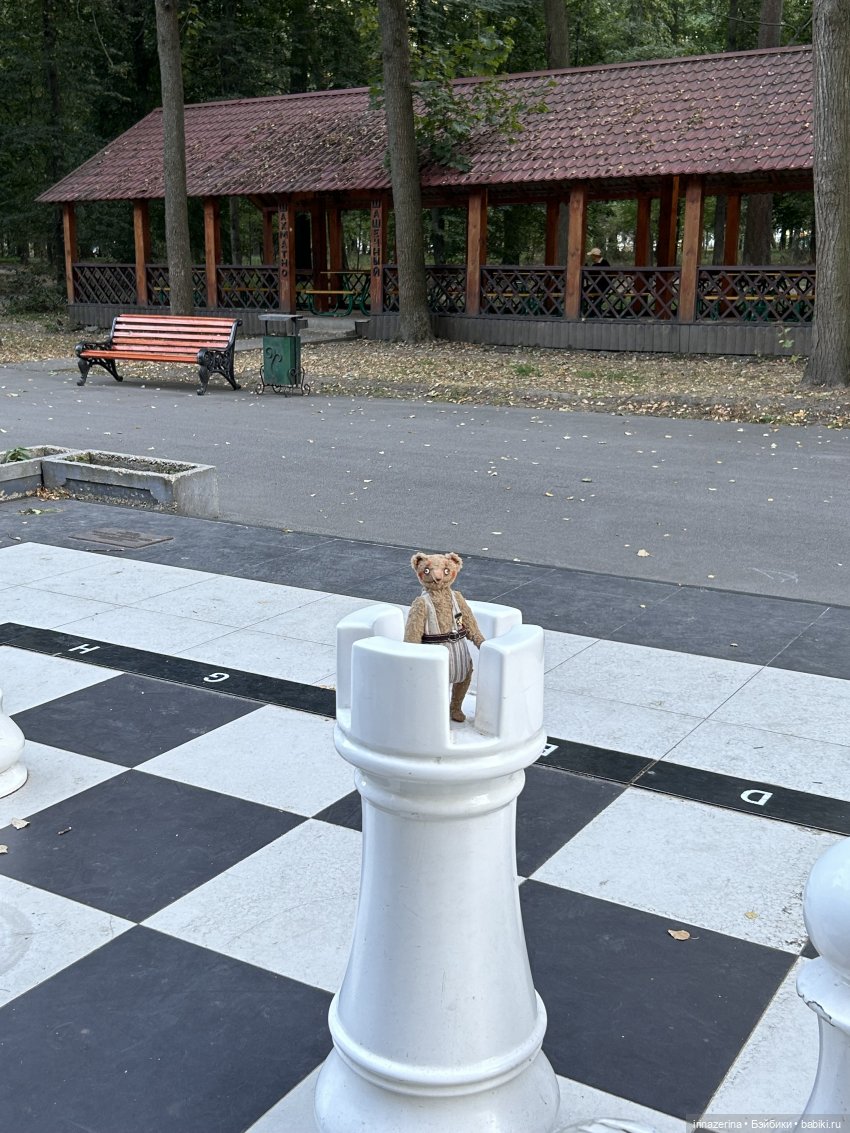 Первая прогулка компаньона Миши (фото 7)