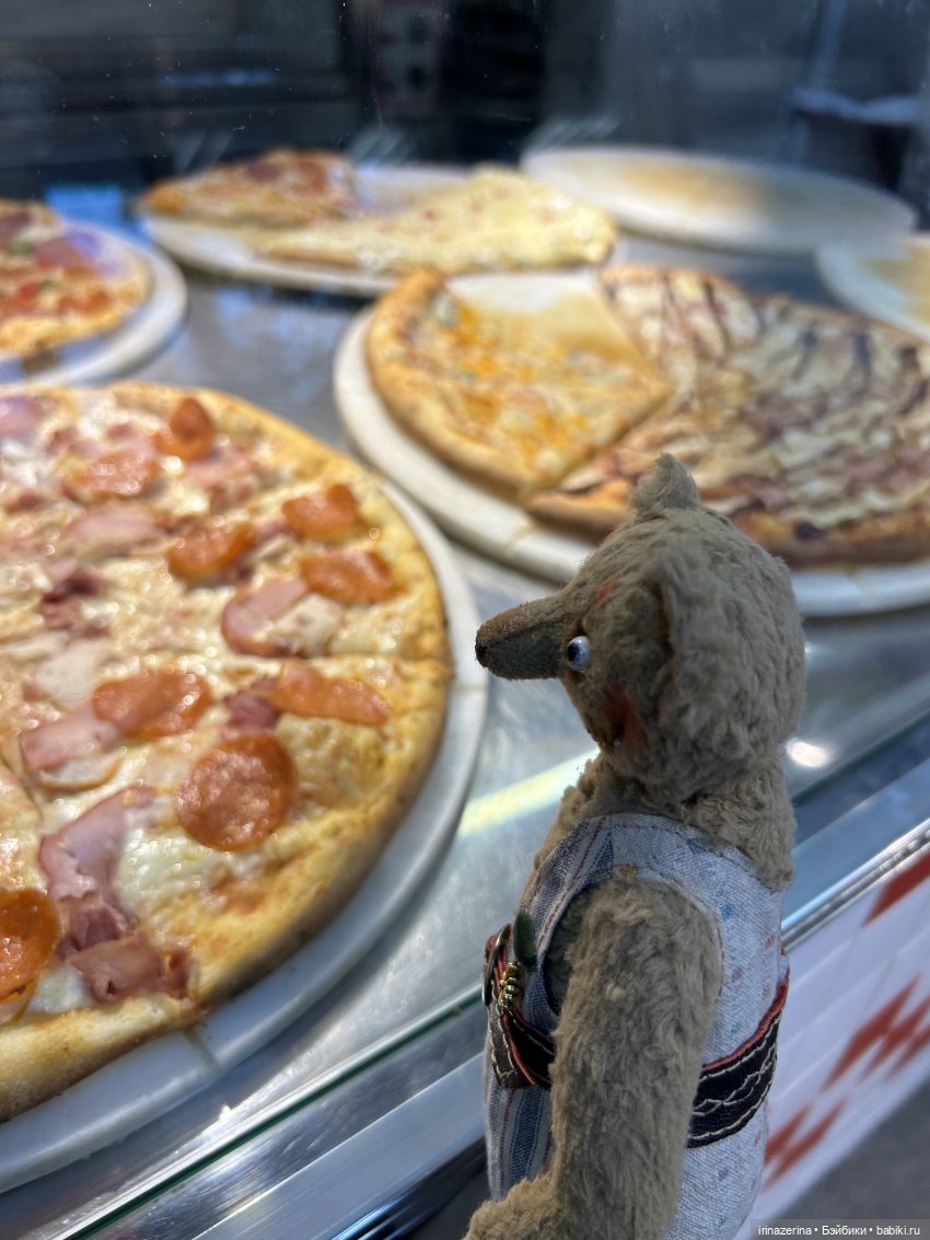 Первое настоящее путешествие Миши