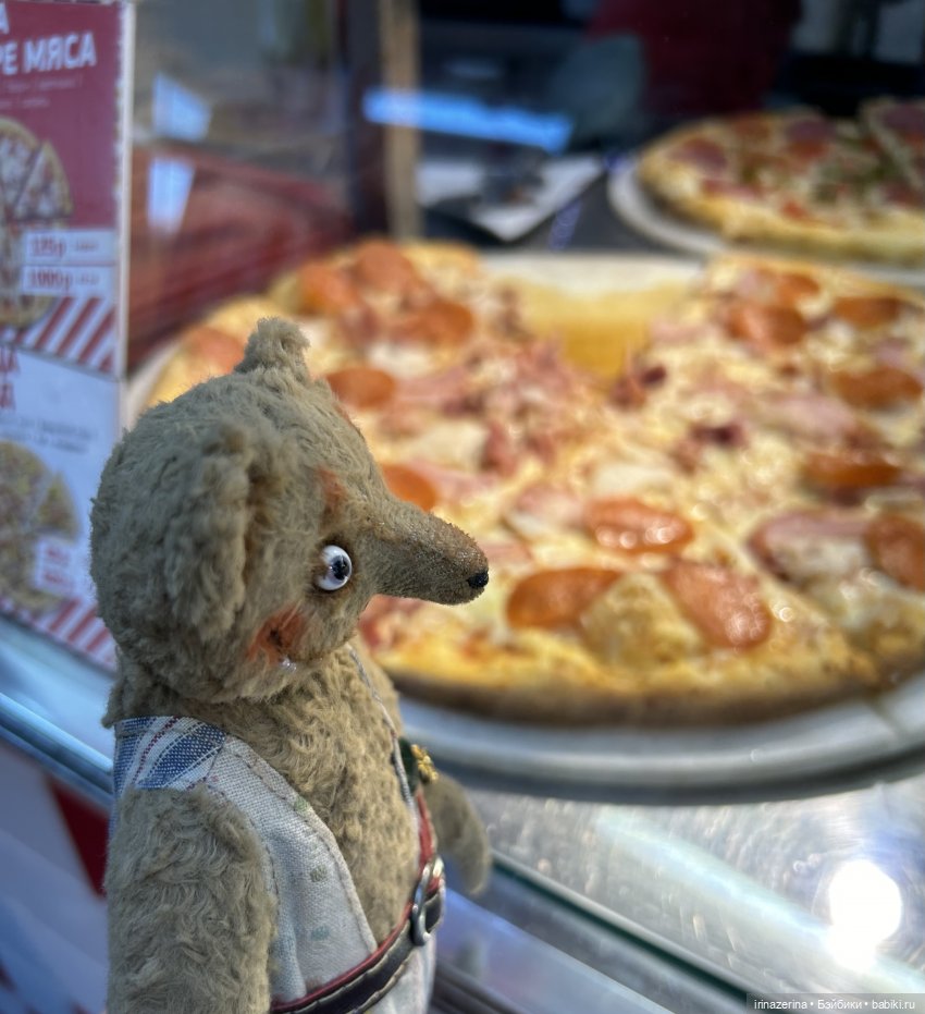 Первое настоящее путешествие Миши