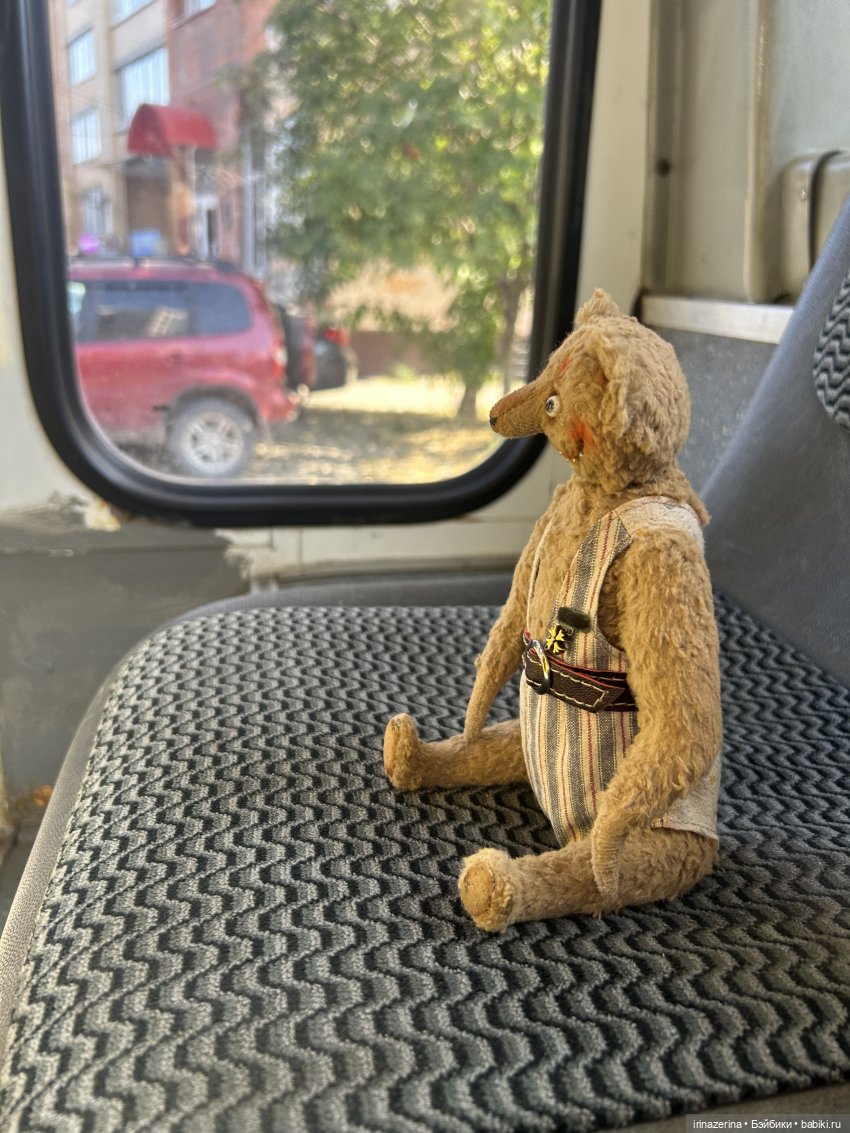 Первое настоящее путешествие Миши (фото 2)