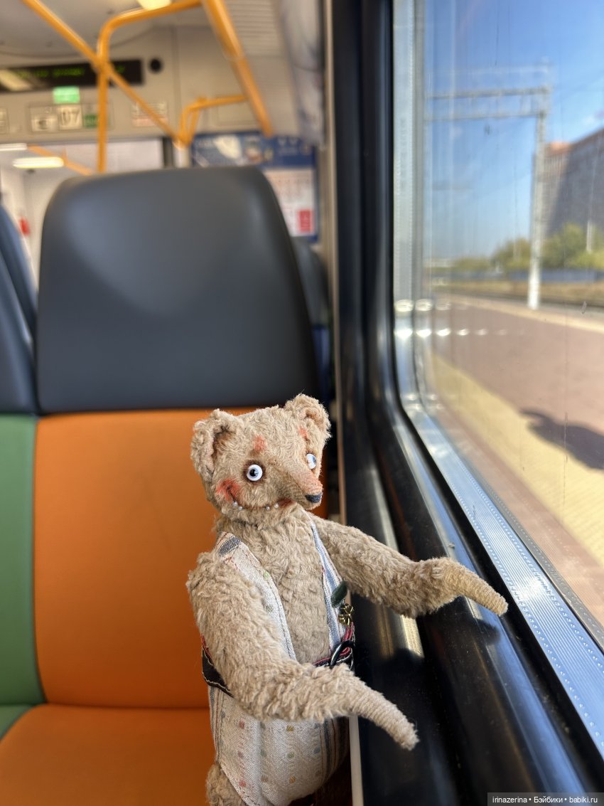 Первое настоящее путешествие Миши