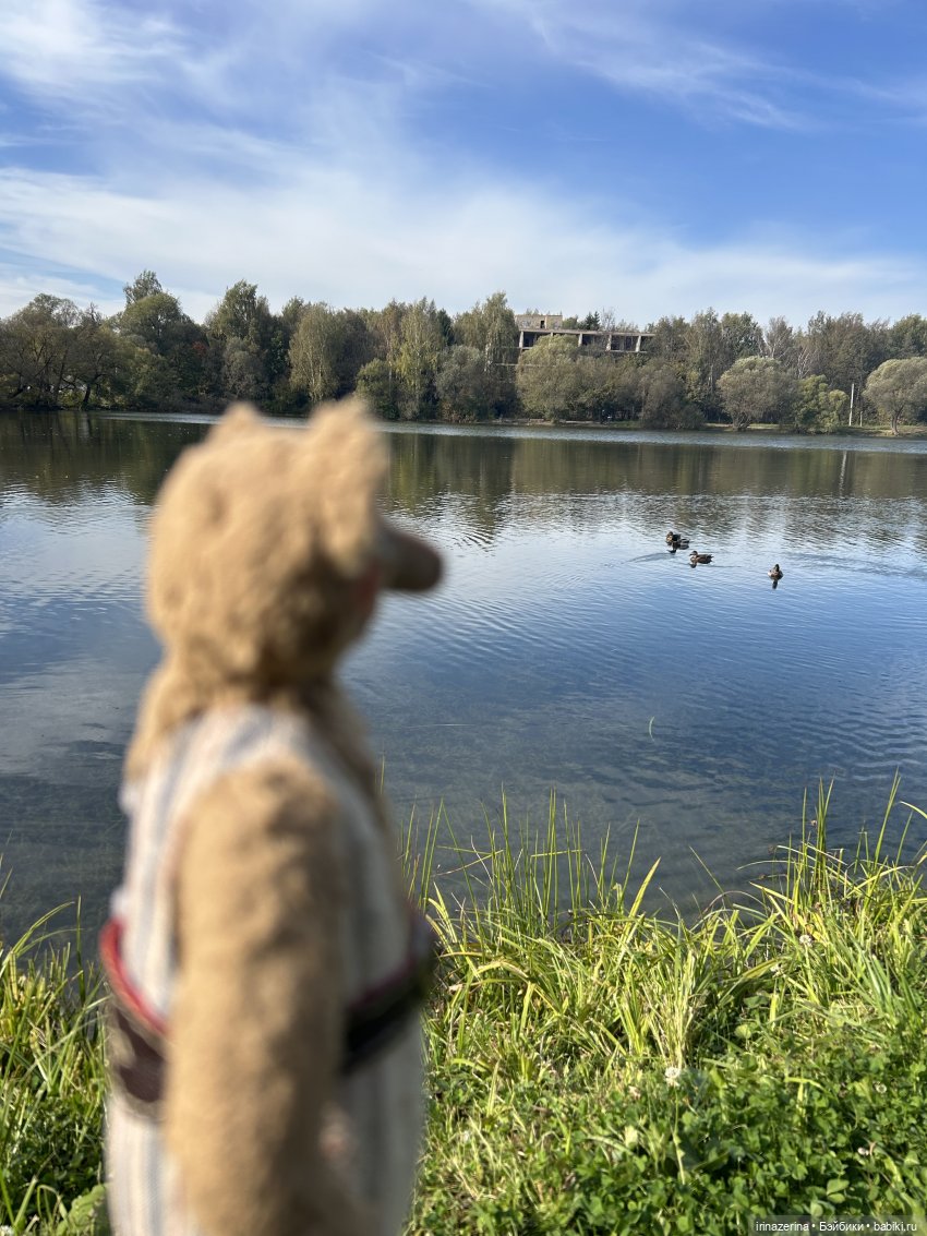 Первое настоящее путешествие Миши