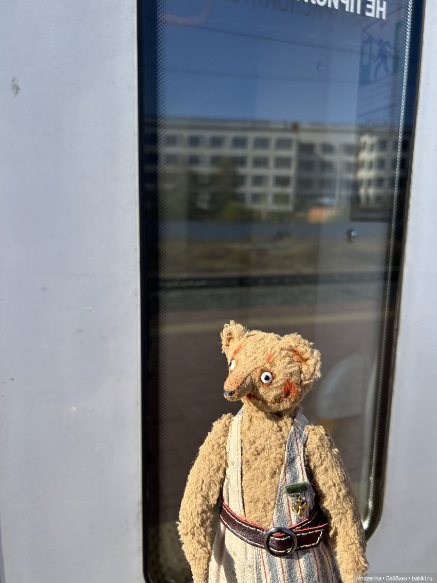 Первое настоящее путешествие Миши