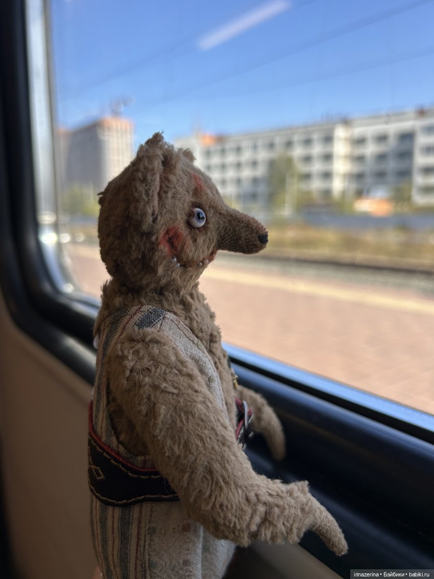 Первое настоящее путешествие Миши