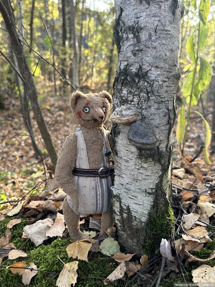 Первое настоящее путешествие Миши