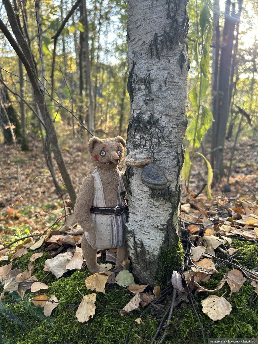 Первое настоящее путешествие Миши