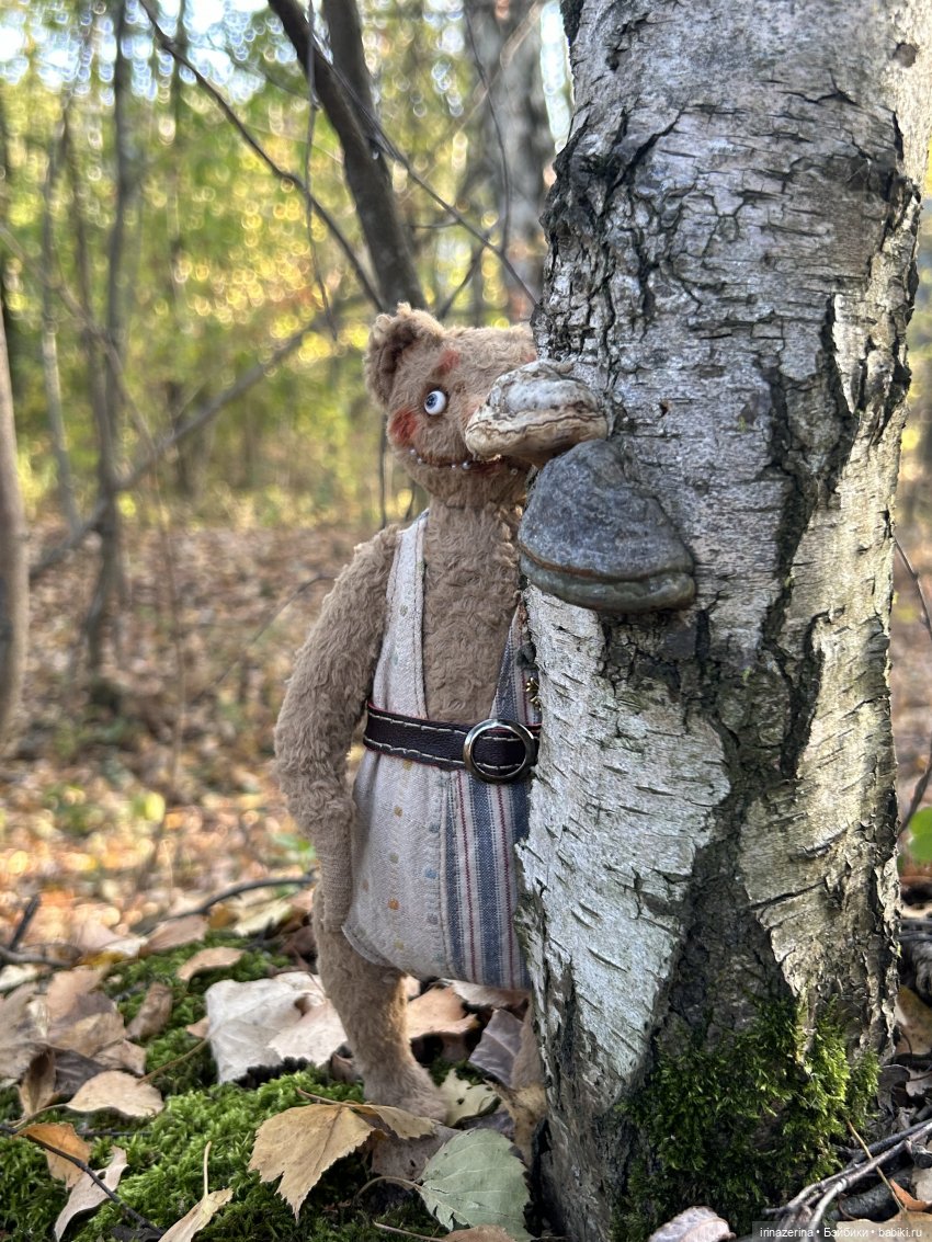 Первое настоящее путешествие Миши