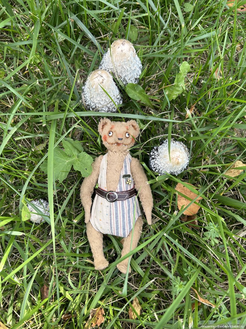 Первое настоящее путешествие Миши