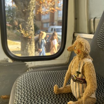 Первое настоящее путешествие Миши