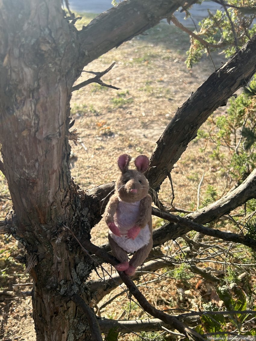 Крыс,Миш и краски осени 🍁 (фото 5)