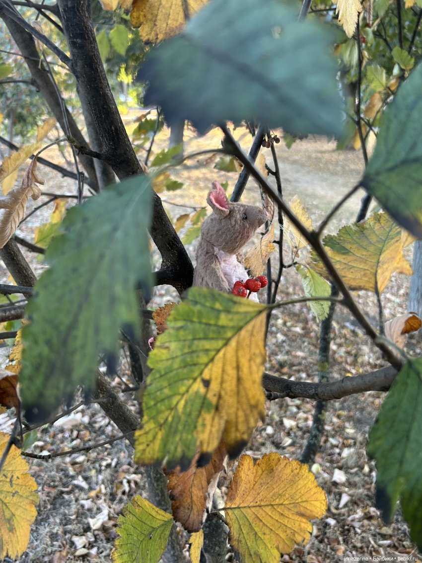 Крыс,Миш и краски осени 🍁 (фото 10)