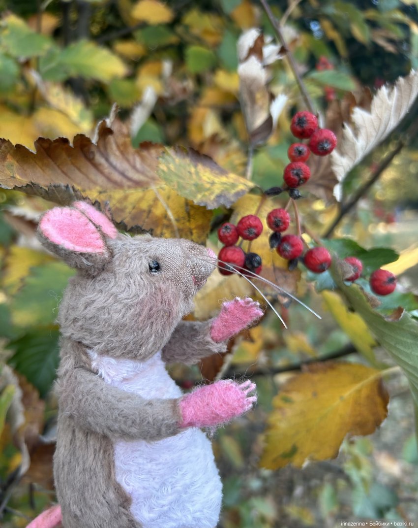 Крыс,Миш и краски осени 🍁 (фото 7)