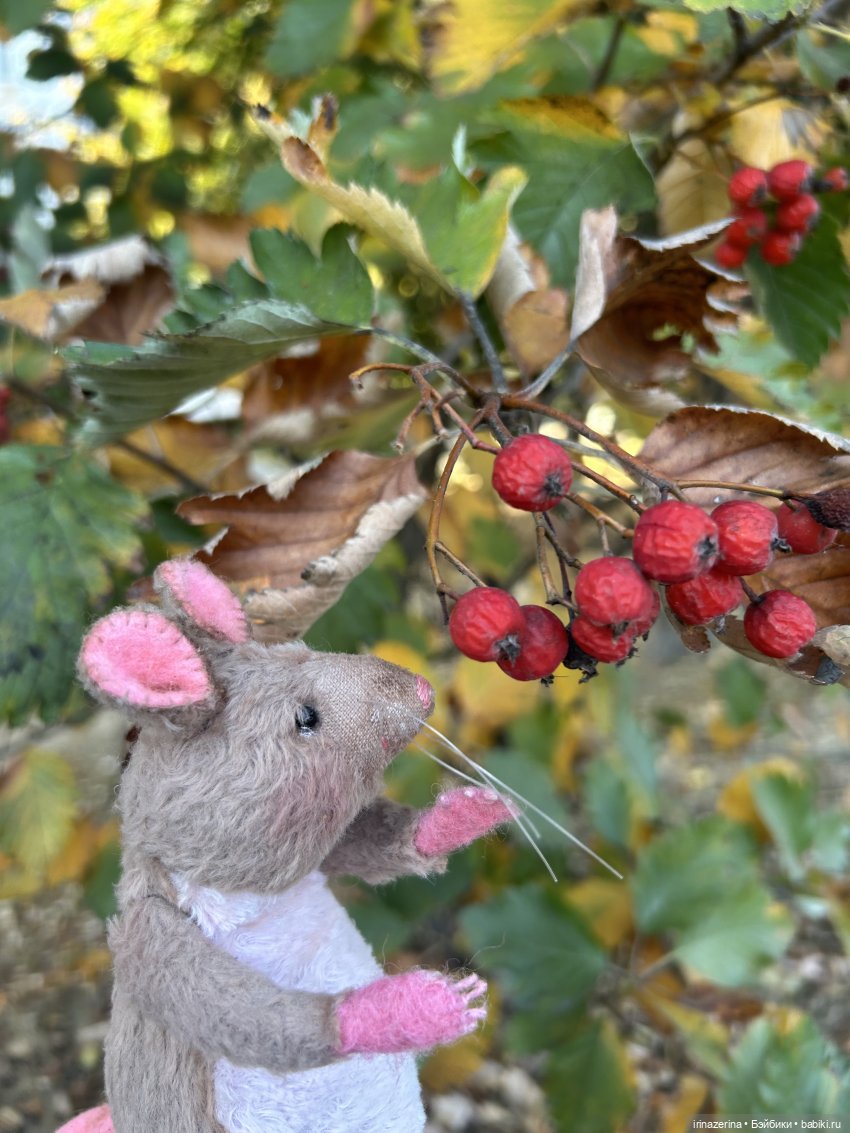 Крыс,Миш и краски осени 🍁 (фото 6)
