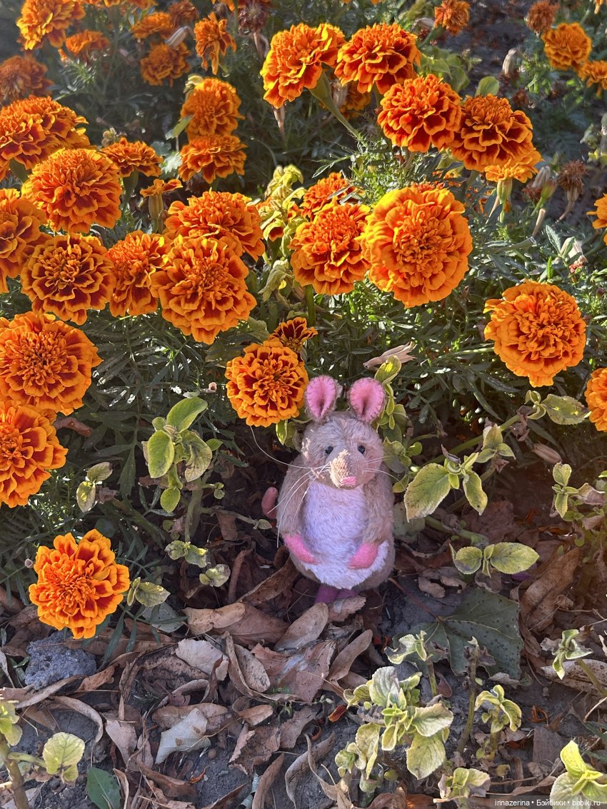 Крыс,Миш и краски осени 🍁 (фото 2)